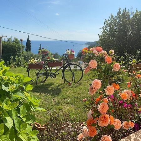 Villa Pergola -Apartment Roko Mlini Buitenkant foto